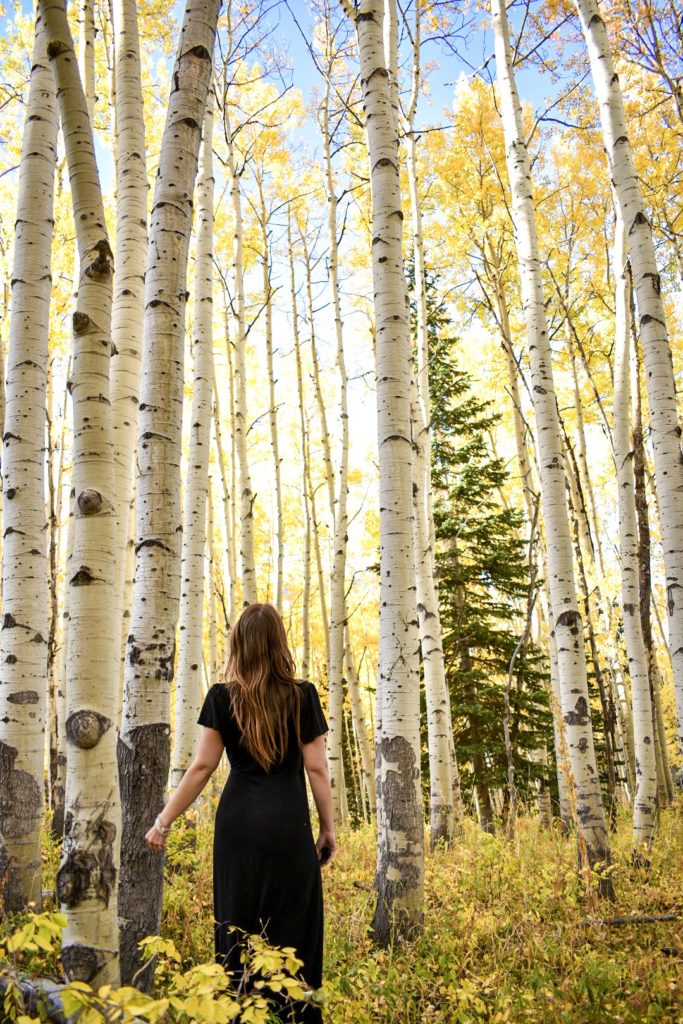 Woman standing in an aspen forest near Kebler Pass in Crested Butte, Colorado during the fall.