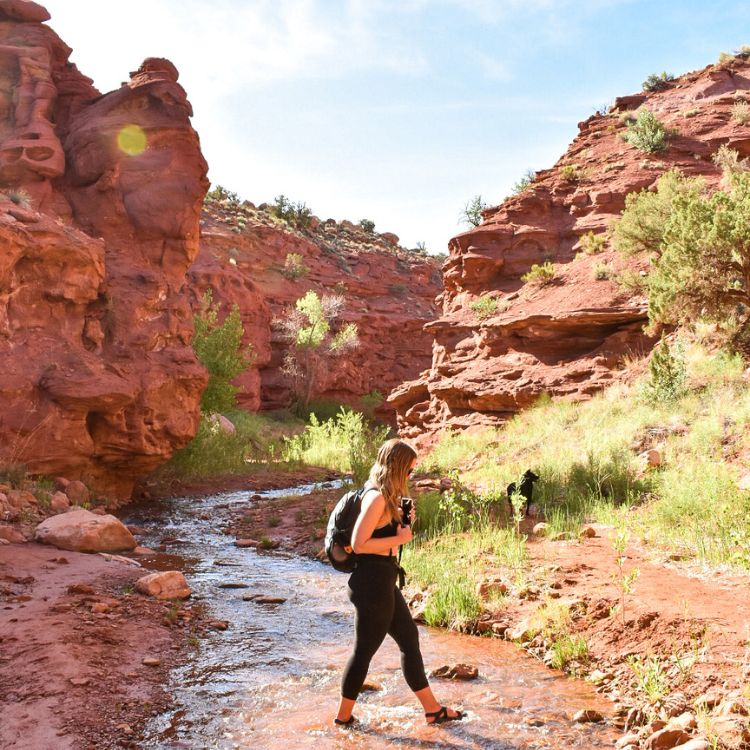 Woman wearing a backpack, leggings, and chacos walks across a sandy creek in a red rock canyon with green plants to her right while hiking in Moab, Utah.