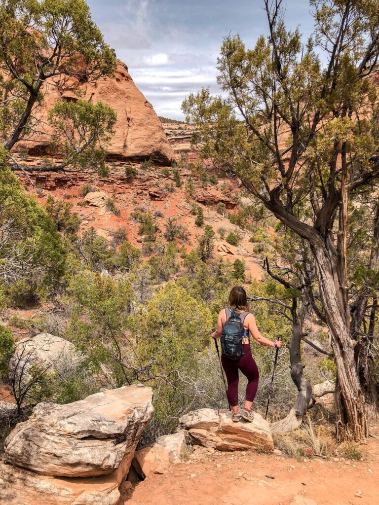 A woman wearing a backpack, maroon leggings, and hiking poles stands on a rock overlooking Ute Canyon in Colorado National Monument surrounded by tall pinon pines.