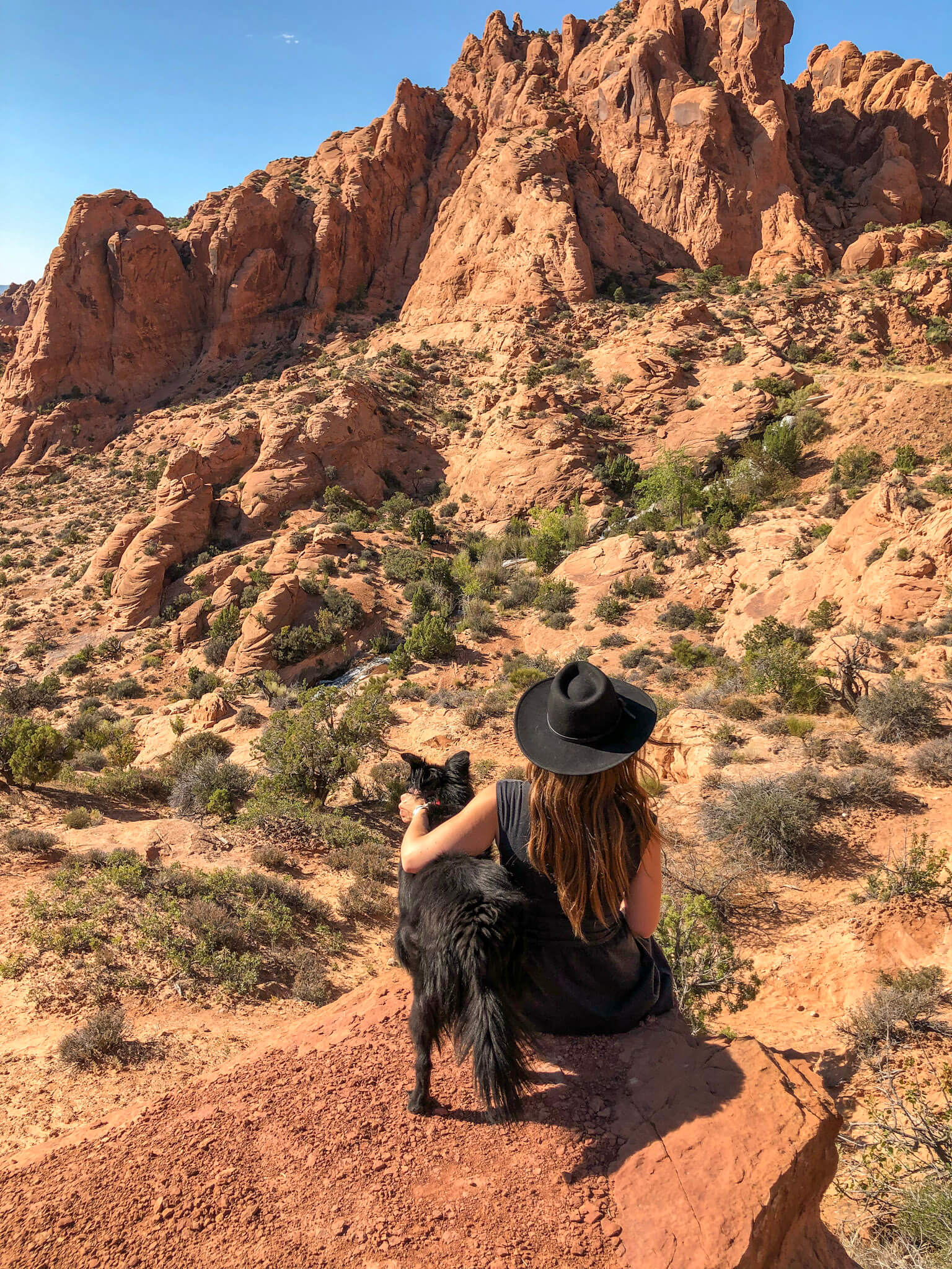 10 Best DogFriendly Hikes in Moab, Utah (Trail Guide)