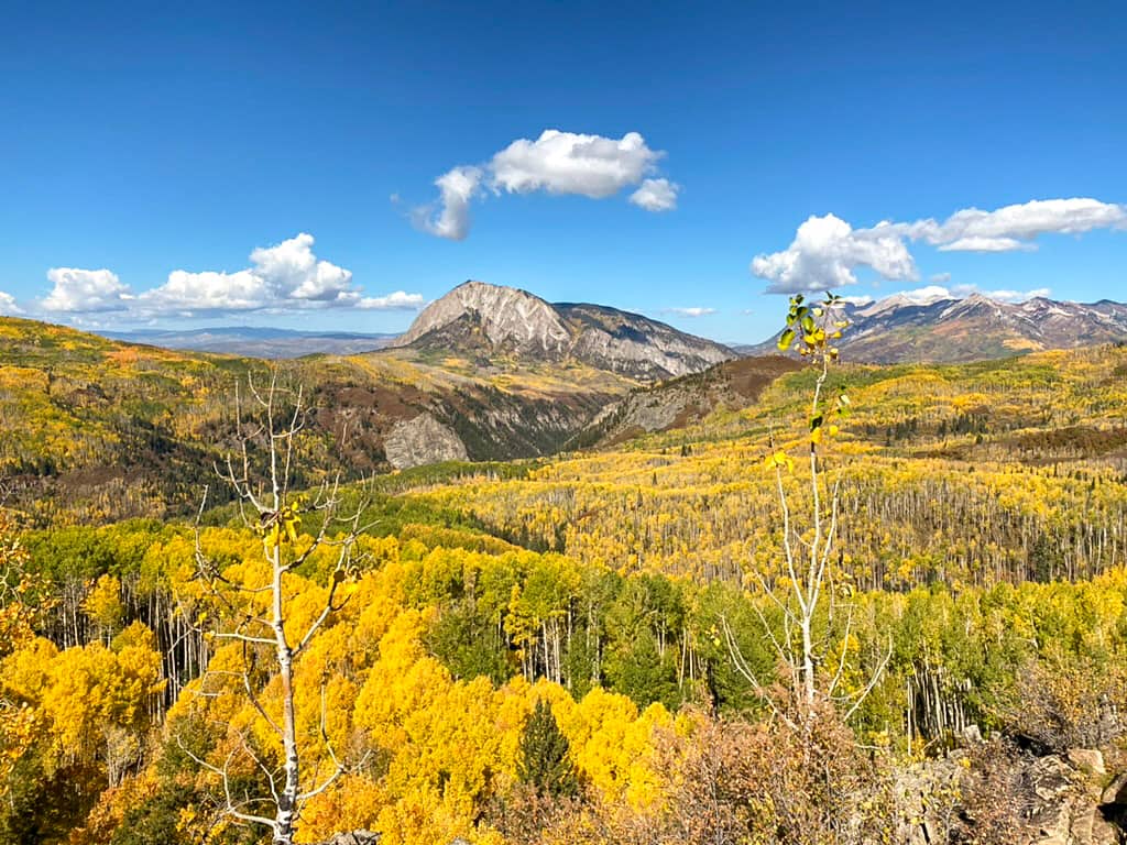 Overlooking a golden forest of aspen trees with mountains in the distance near Kebler Pass, one of the best scenic drives to see fall colors in Colorado.