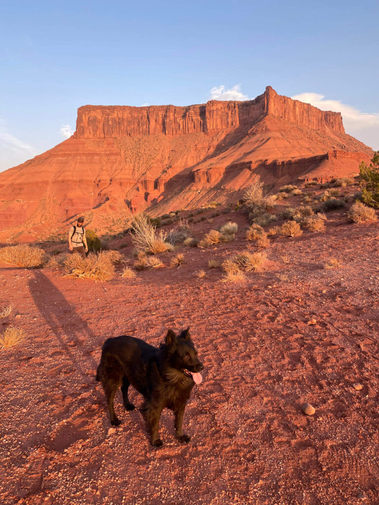 Black dog in front of a red rock mesa at sunset in Moab.