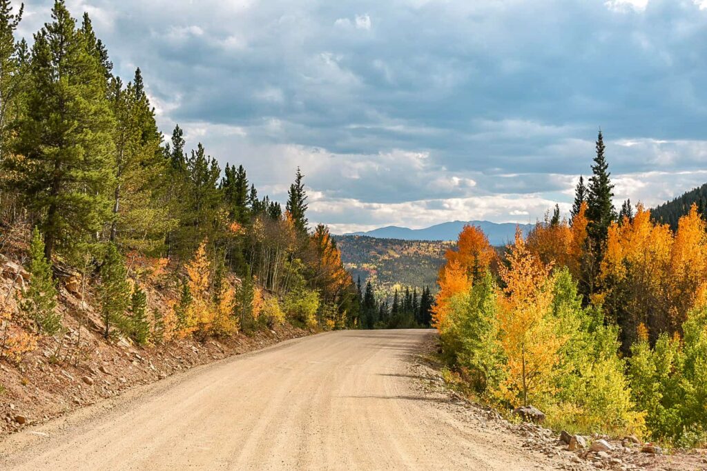 A dirt road lined with fall foliage and evergreen trees on one of the best scenic drives for fall colors in Colorado.