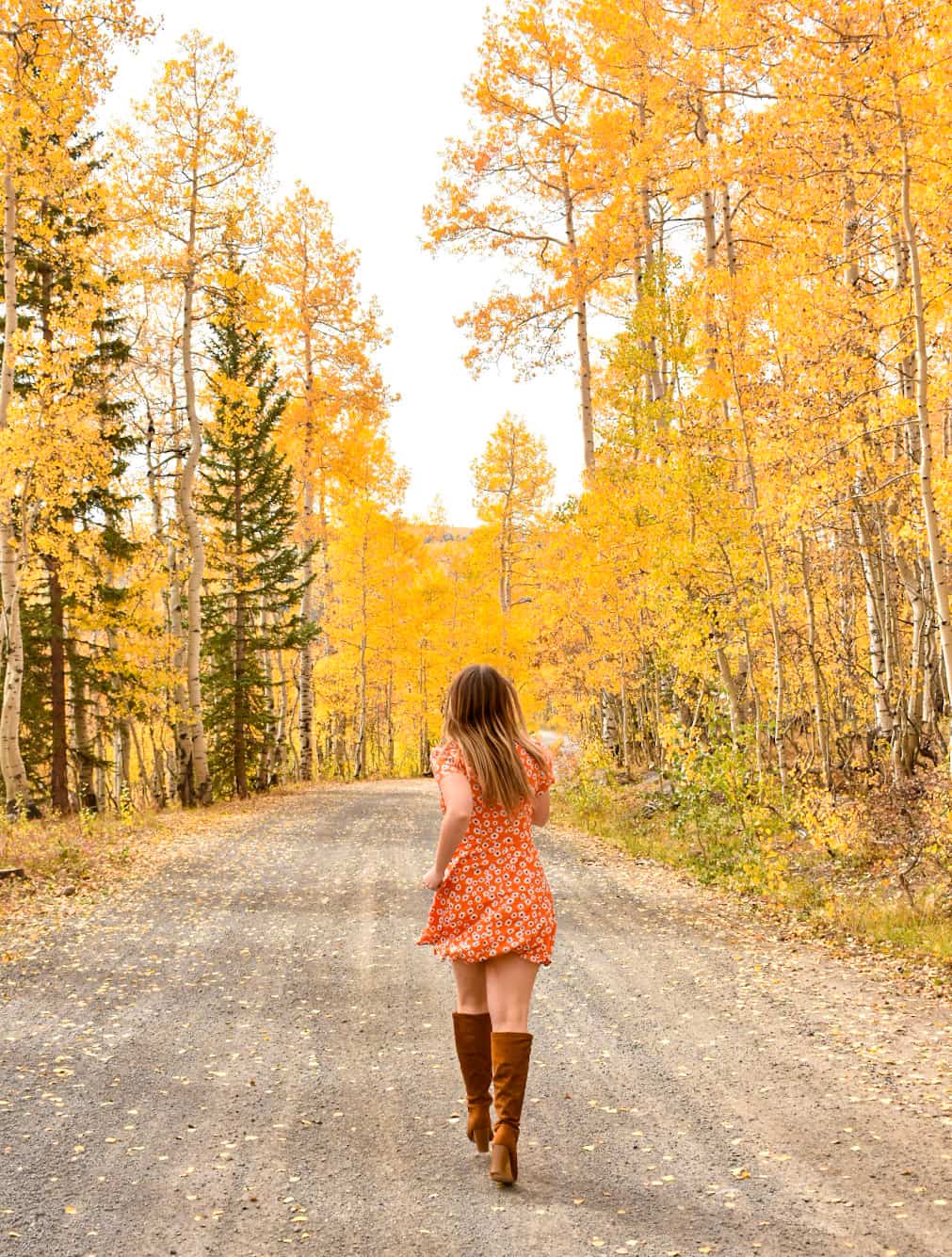 Woman in an orange floral dress and brown suede boots with a chunky heel runs down a dirt road lined with golden aspen trees on one of the best scenic drives in see fall colors in Colorado on the Grand Mesa.