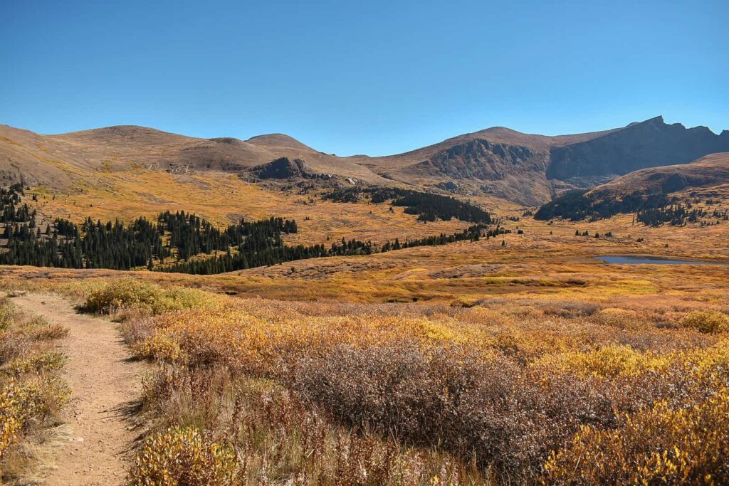 Fall in the tundra of Colorado along Guanella Pass.