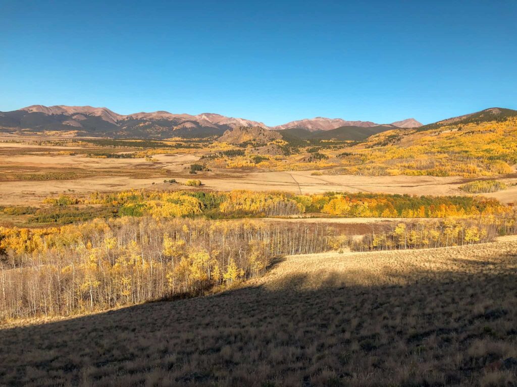 View of golden aspen forests and fields with mountains in distance in Colorado during the fall.