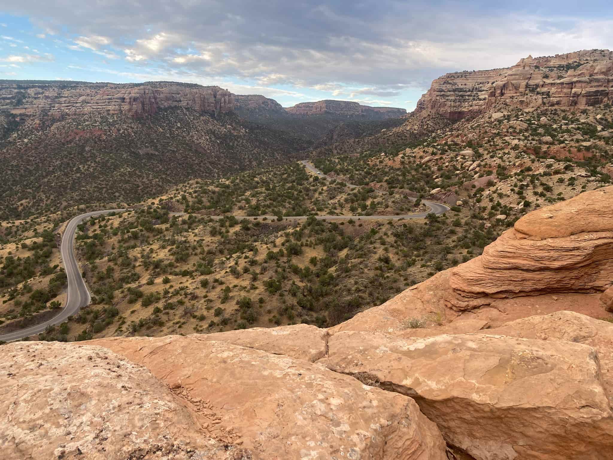 A winding road through juniper trees in a red rock canyon with sandstone rocks in the foreground in Colorado National Monument.