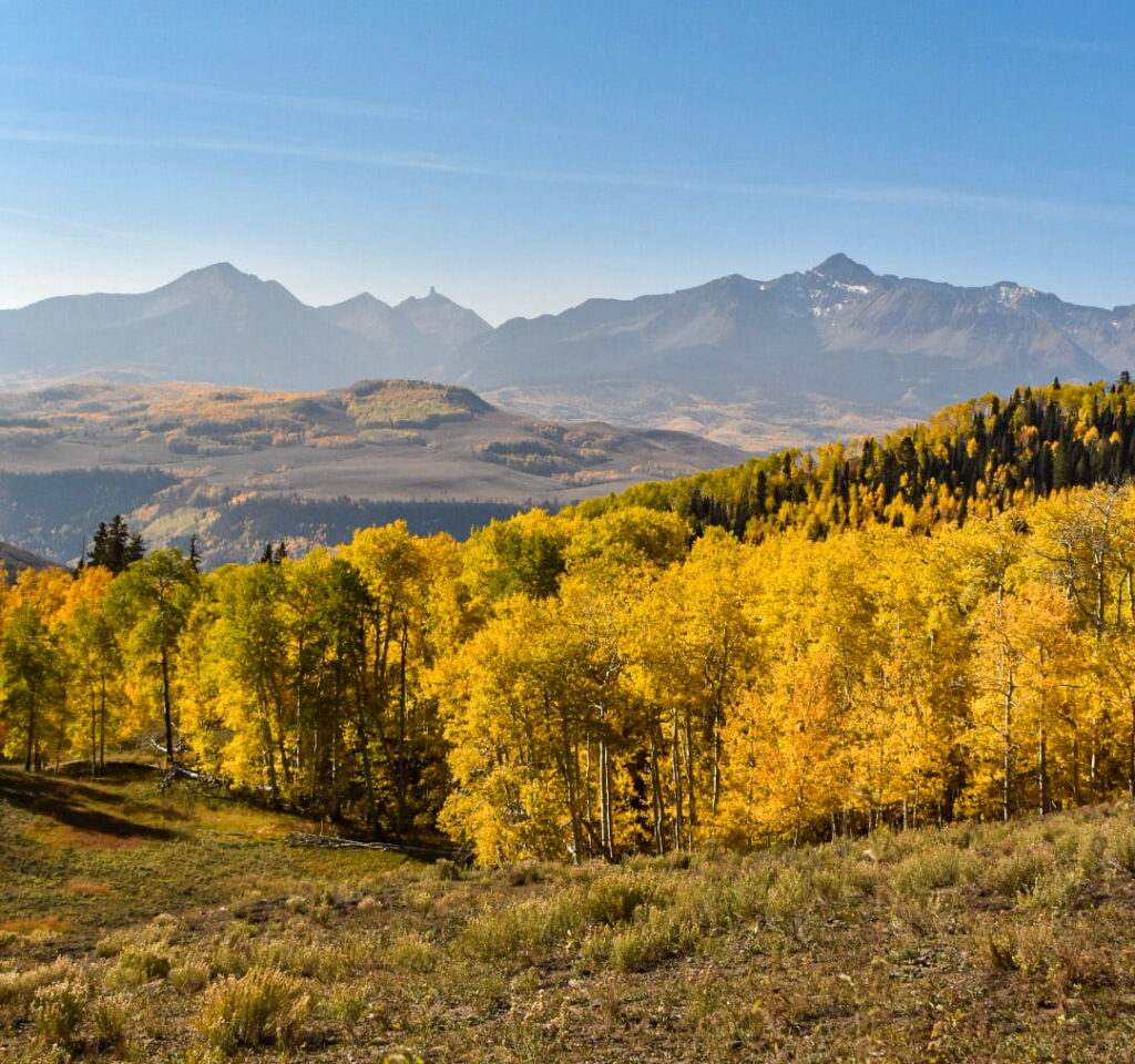 A view of the mountains with golden aspen trees in the foreground in Telluride, Colorado.