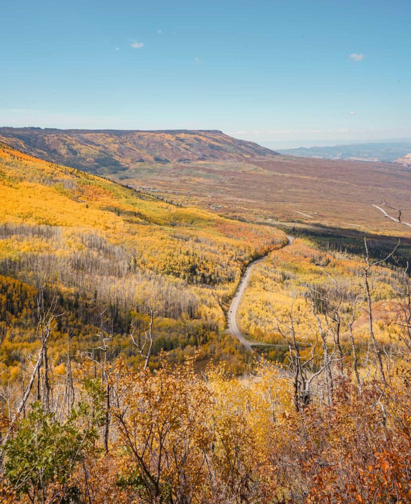 Looking over the Grand Mesa Scenic Byway with a large grove of golden aspen trees.