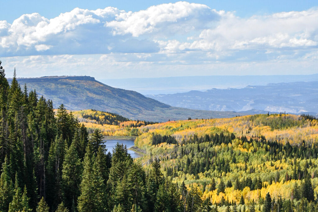 Overlooking a golden aspen forest and lake on the Grand Mesa near Grand Junction in the fall.