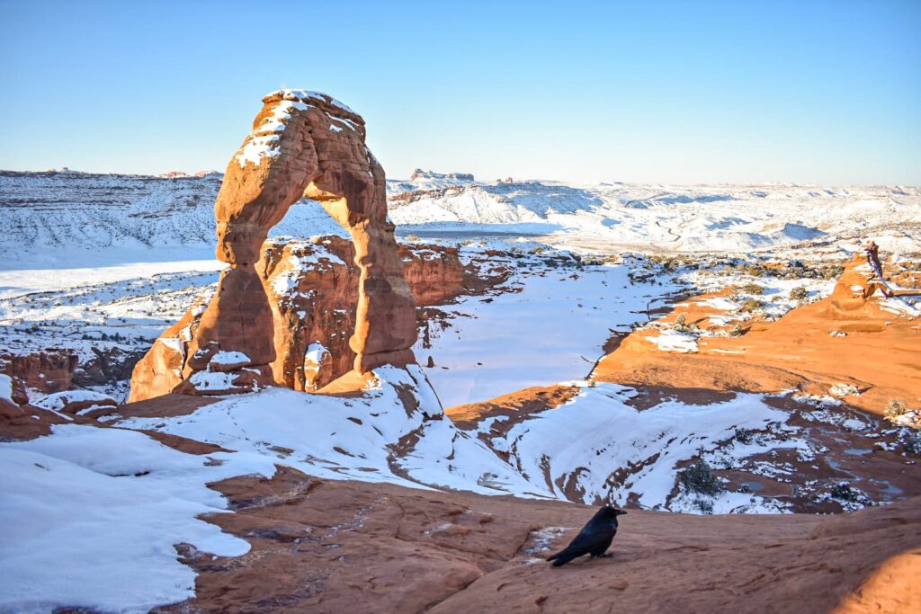 Delicate arch with a dusting of snow and a raven in the foreground.
