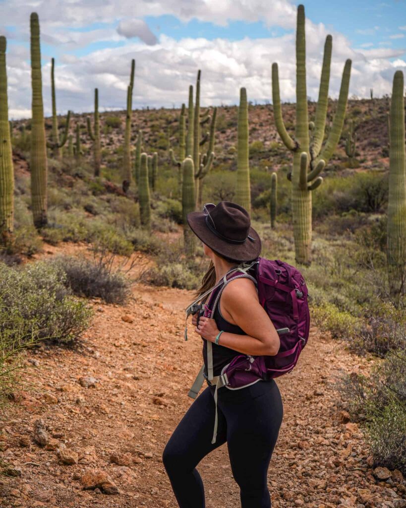 Woman hiking on a trail in Tucson, Arizona surrounded by giant saguaro trees.
