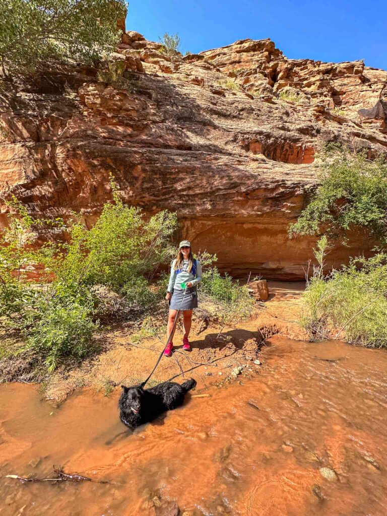 A woman hikes with her dog lying in a creek on a leash in a canyon in Moab, Utah.