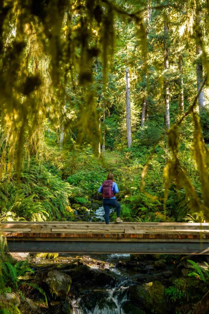 Female hiker standing on a bridge in the Hoh Rain Forest in Olympic National Park.