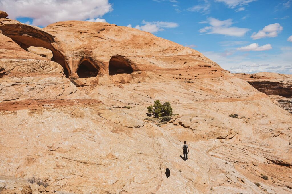 Man and dog hike across slickrock towards Colonnade Arch, a rock formation with 5 unique arches.