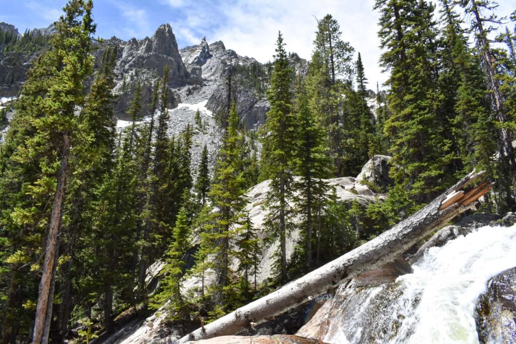waterfall in the forest with rocky mountains in the background